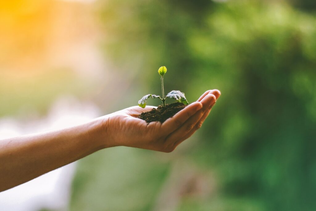 CSR & Impact Programs