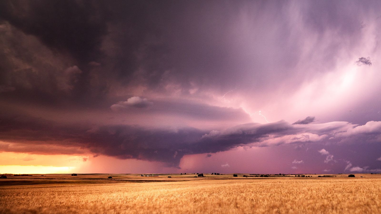 Climate Intelligence